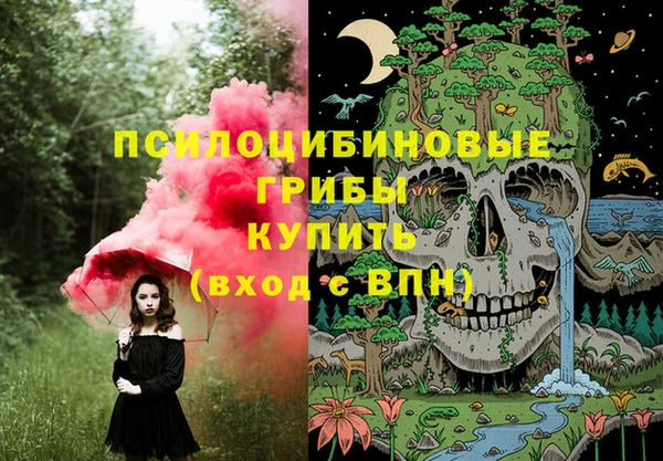 ECSTASY Аркадак