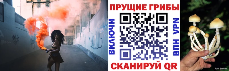 купить наркотики сайты  KRAKEN ССЫЛКА  Псилоцибиновые грибы прущие грибы  Абдулино 